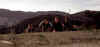 Canyon Son